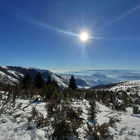 Lägenhet Lux Dunja Cardaci - White