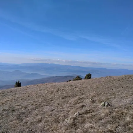 Lux Dunja Cardaci - White *