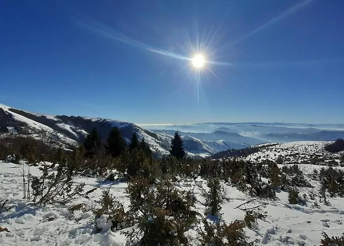 Apartman Lux Dunja Cardaci - White