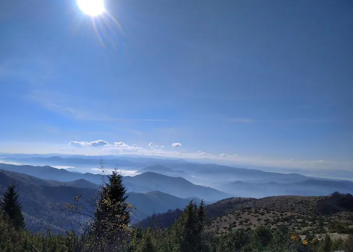 Lux Dunja Cardaci - White