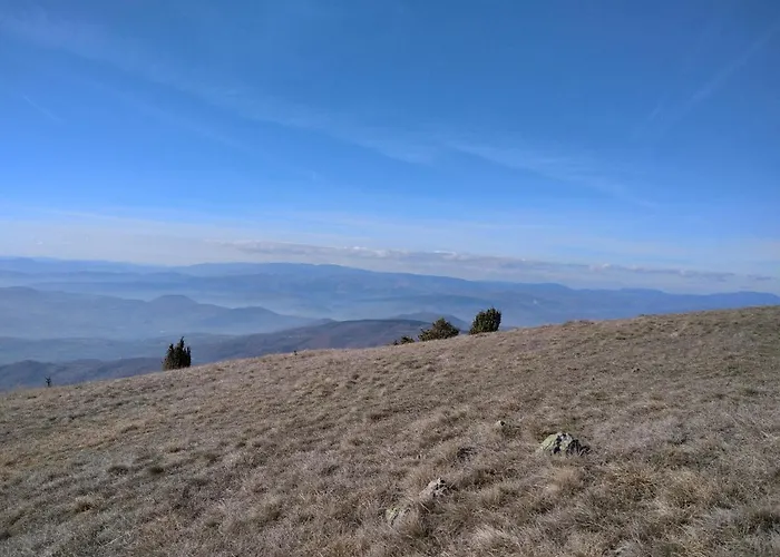 Lux Dunja Cardaci - White *